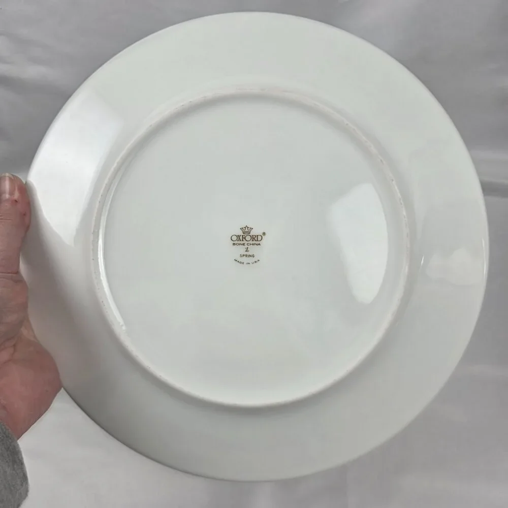 TWO Oxford China Spring Bone China Dinner Plate Multicolor Floral Rim Aqua Band